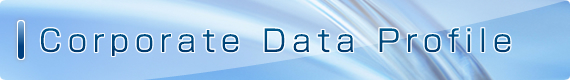 Corporate Data Profile