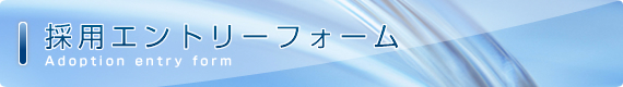 ̗pGg[tH[